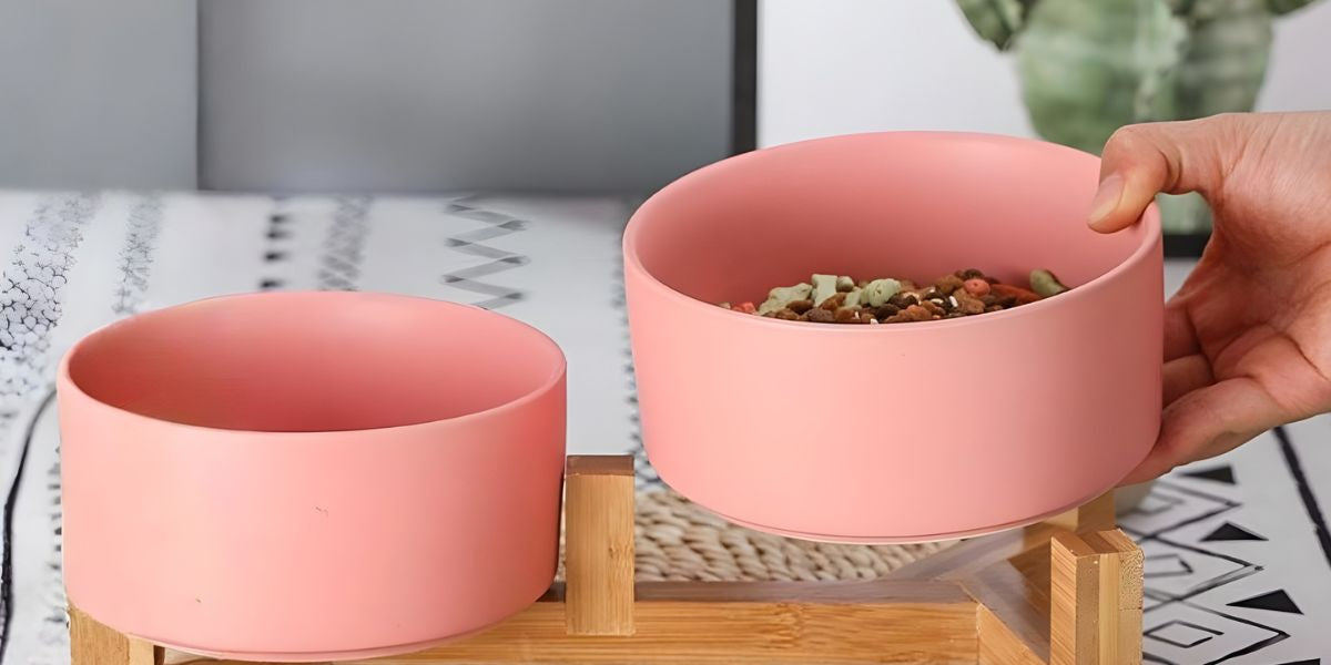 How Often Should You Replace Your Pet’s Bowl or Collar?