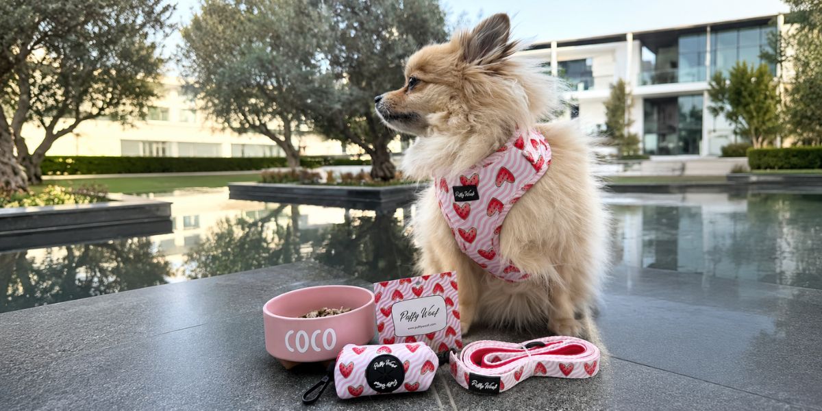 If Dogs Could Shop at Puffy Woof, What Would They Pick?