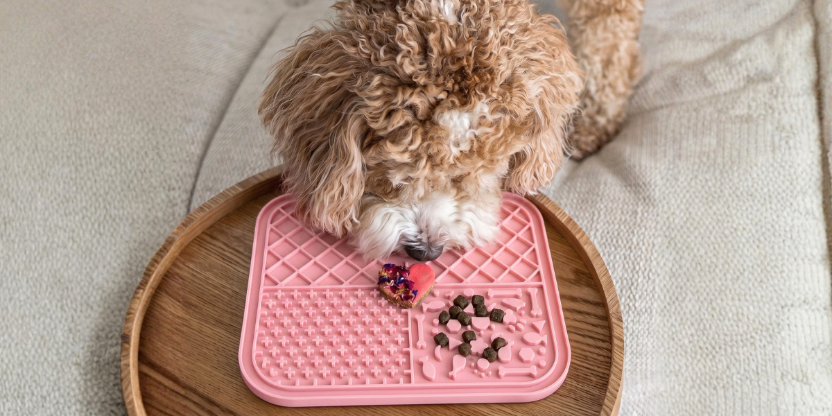 How to Use a Lick Mat for Dogs: Seven Easy Ideas