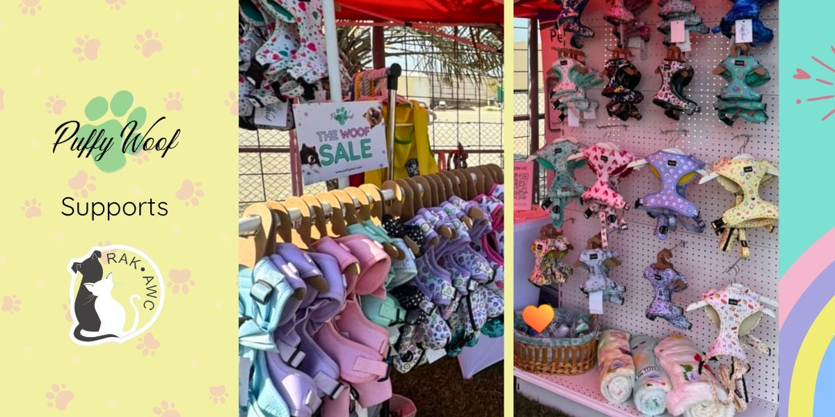 RAK Animal Welfare Centre — Snow Pawty 2026