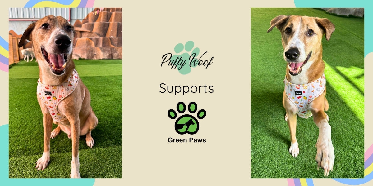 Raising Awareness With Green Paws