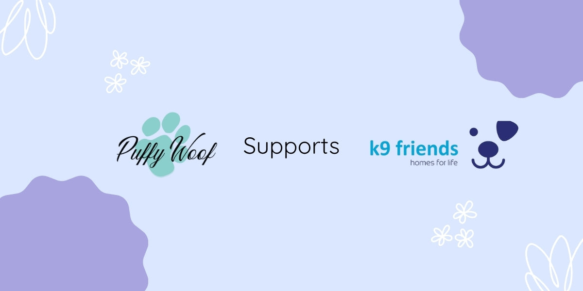 Supporting K9 Friends Dubai
