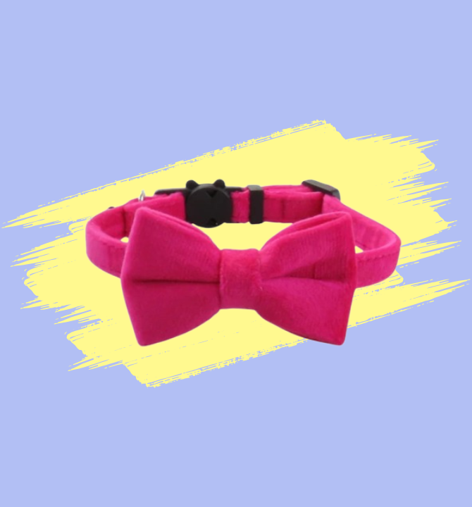 Cat Collars