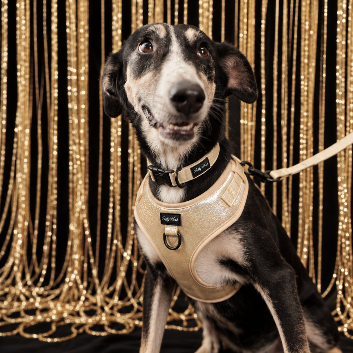 Golden Shadow Leash