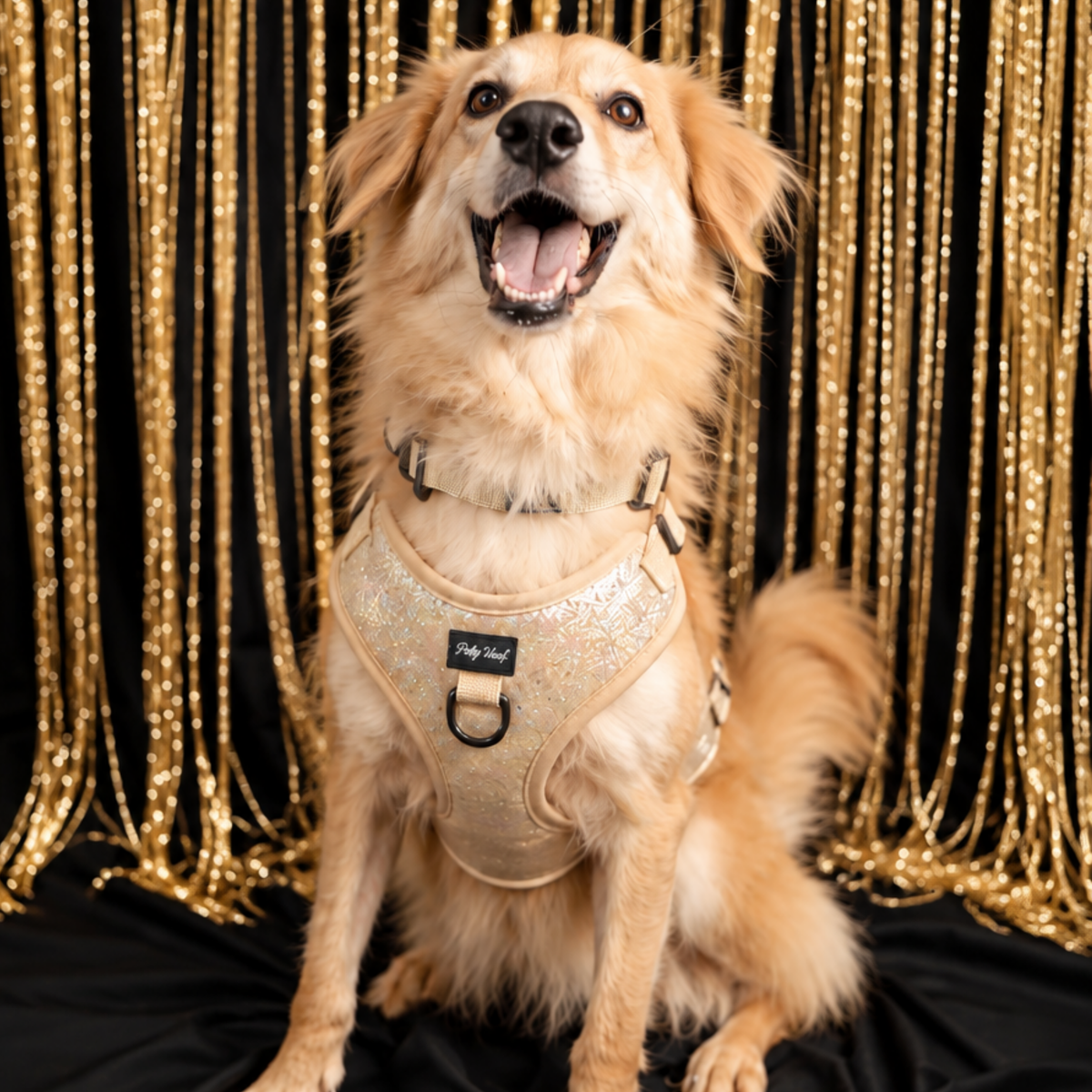 Golden Shadow Complete Walk Set