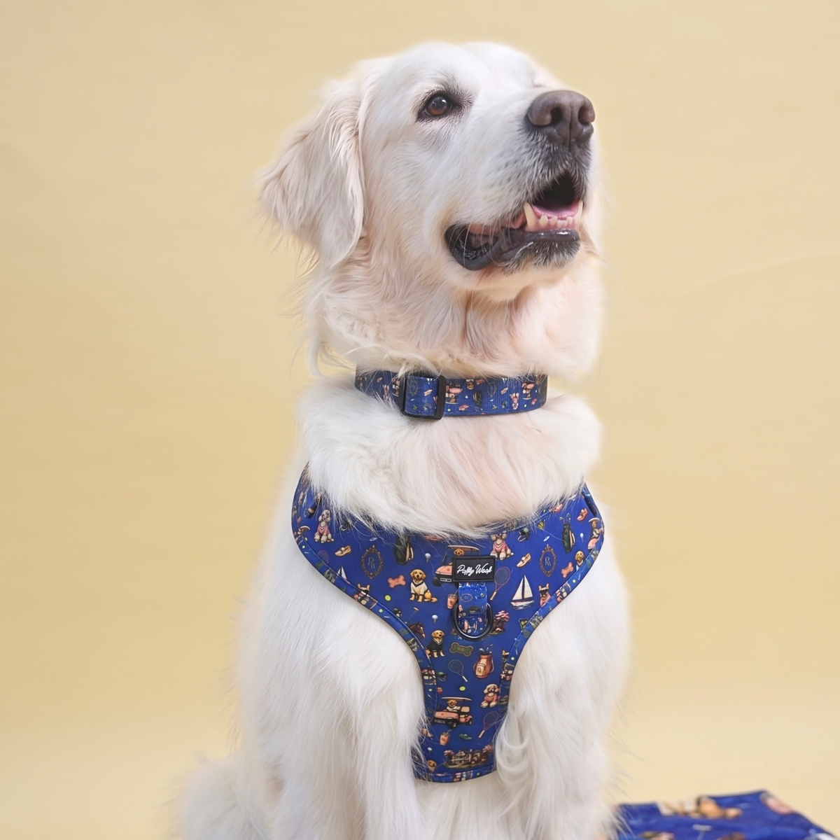 The Members Club - Adjustable Collar & Leash Set