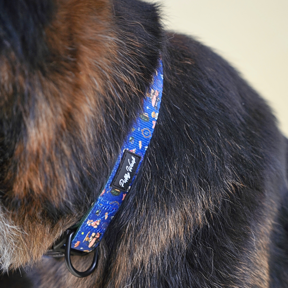 The Members Club - Adjustable Collar
