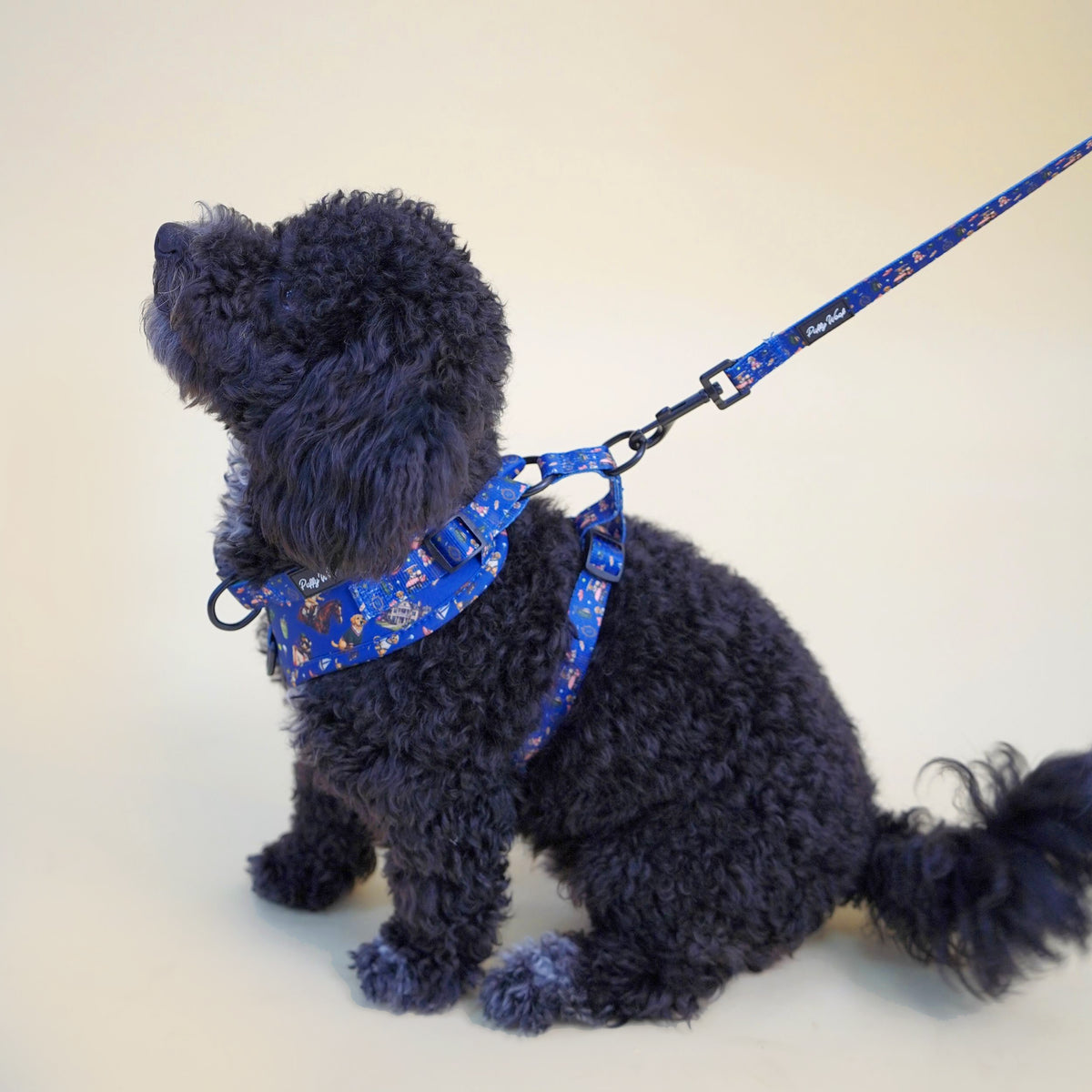 The Members Club - Leash