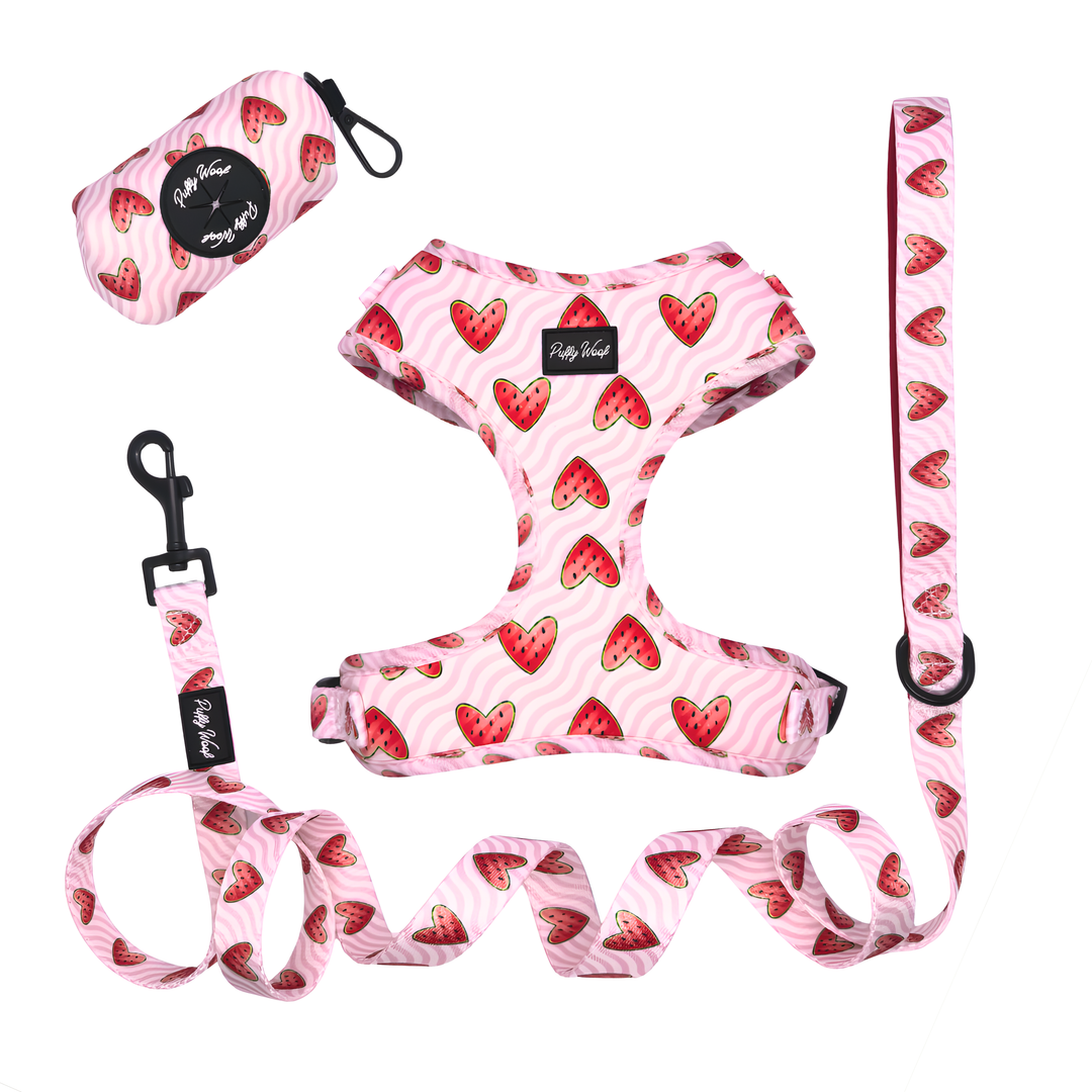 Watermelon Buttons Limited Edition Walk Bundle