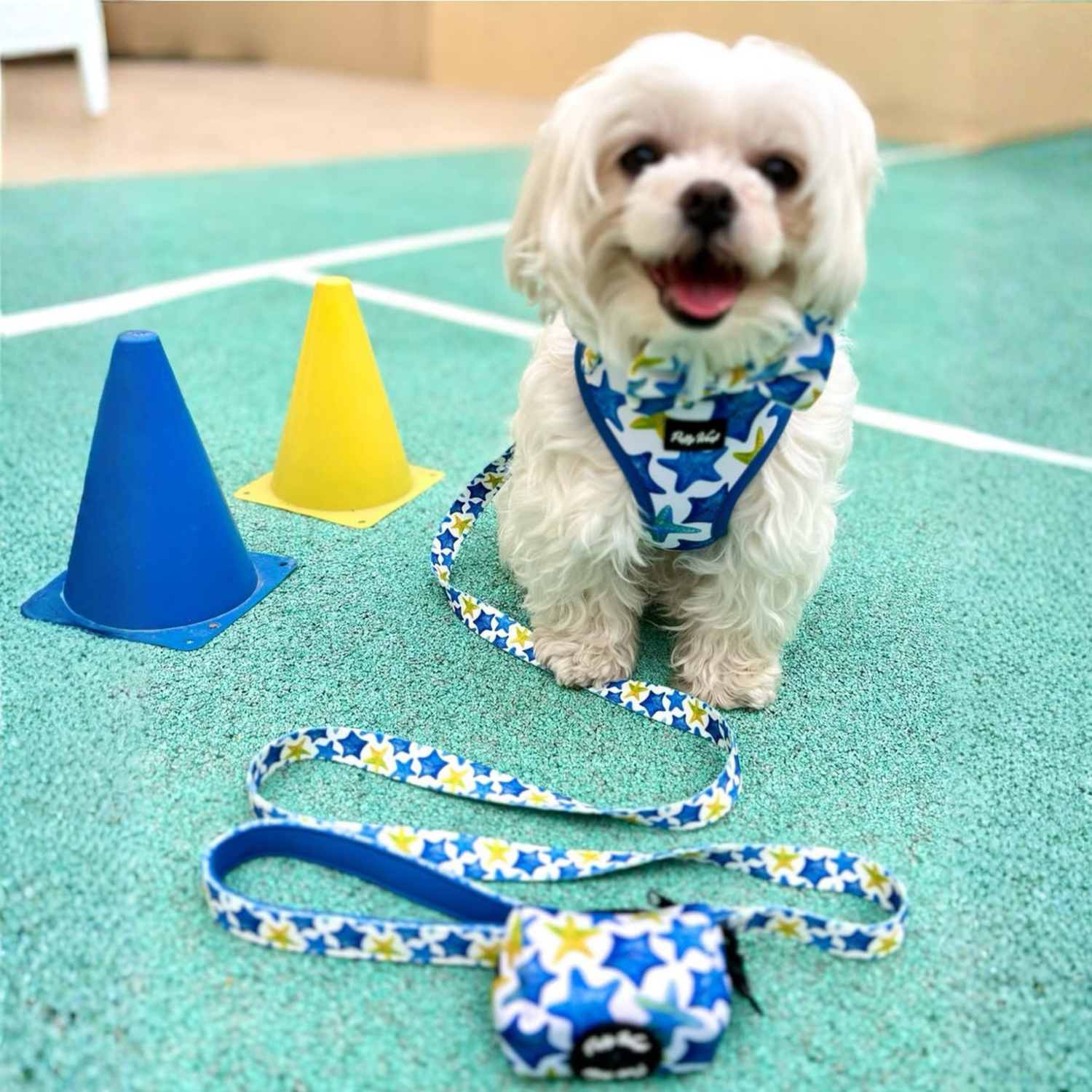 Lily’s Starfish Poop Bag