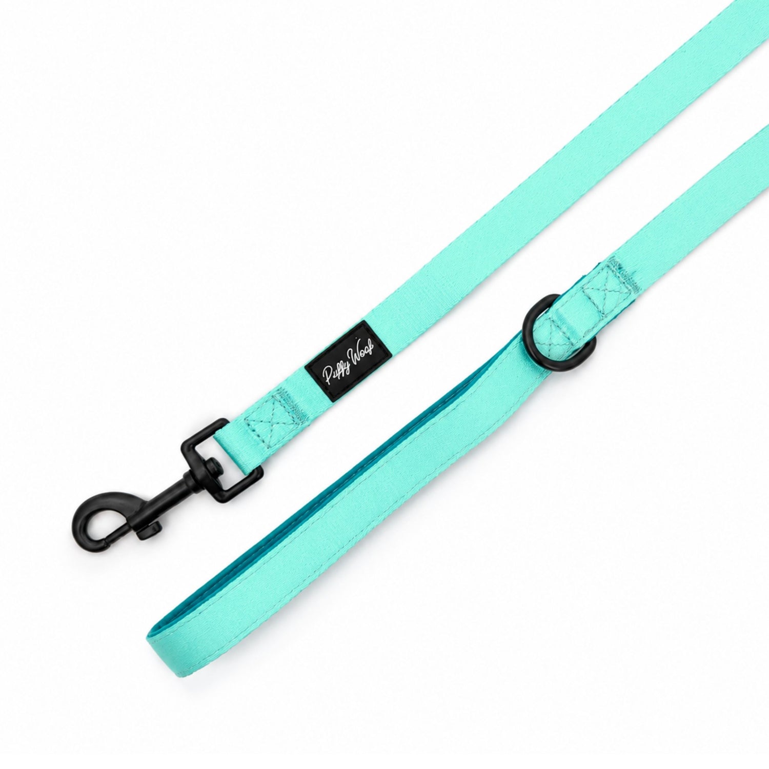 Mint Chip Leash