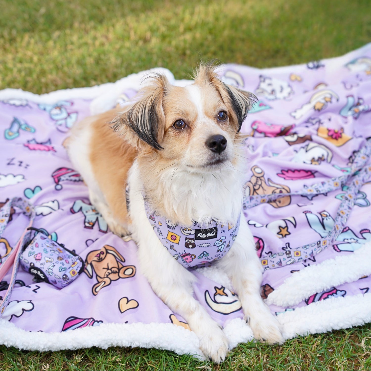 Sweet Dreams Mia Leash