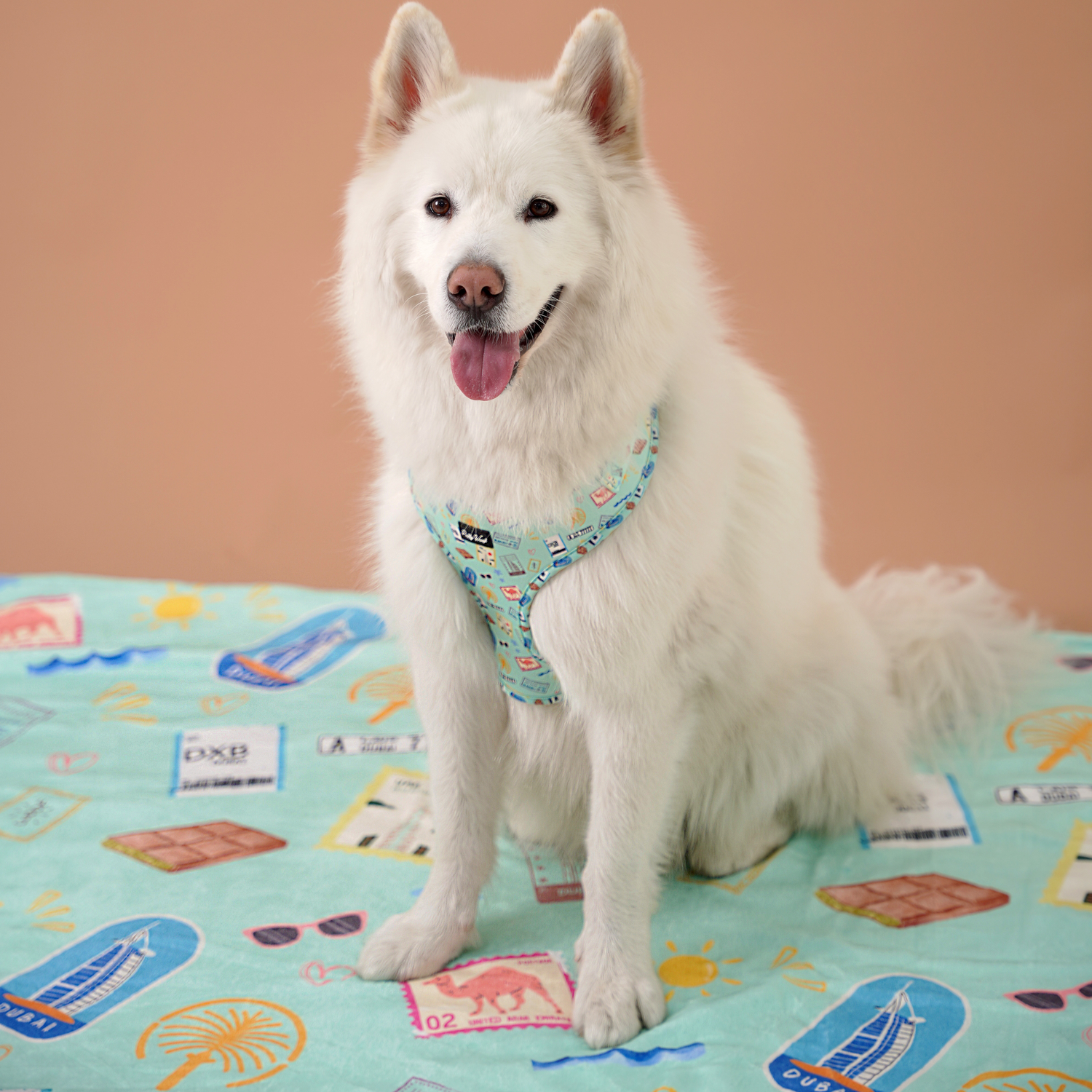 Dubai Doodles Blanket