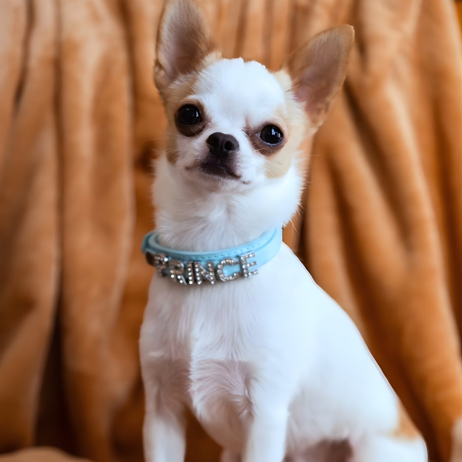 Bling Bling Personalized Dog & Cat Collar – Blue