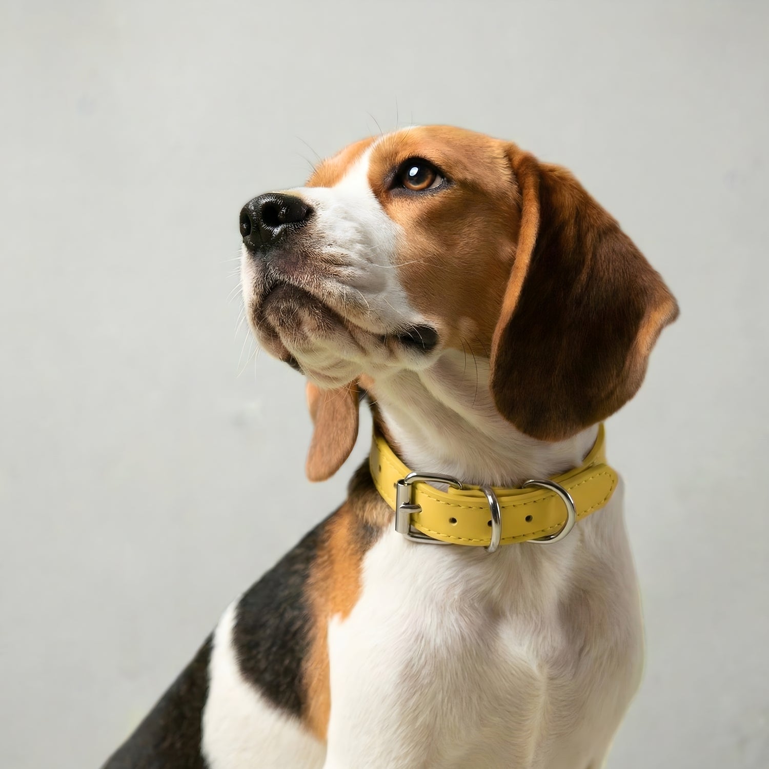 Leather Pet Collar - Mellow Yellow