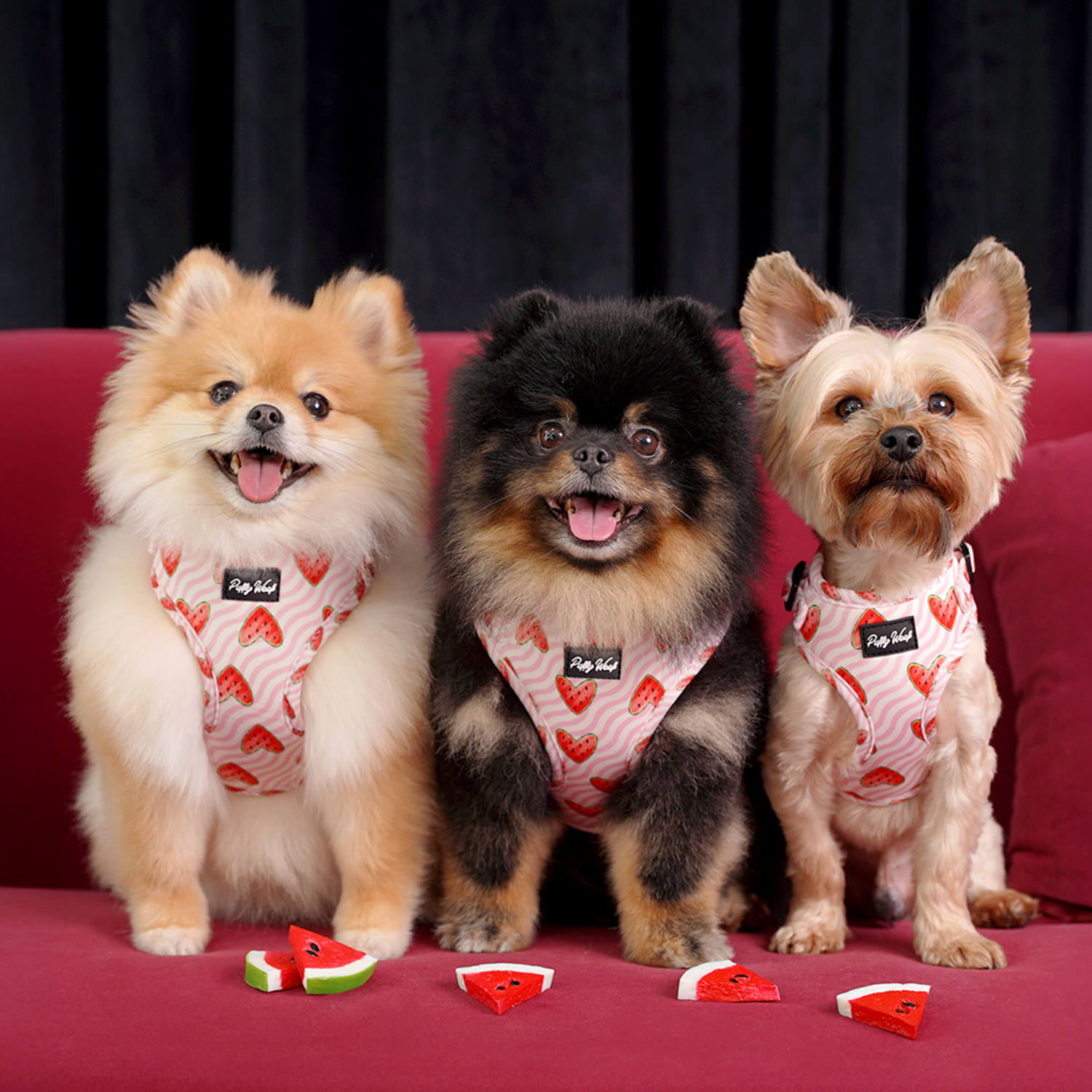 Watermelon Buttons Adjustable Harness