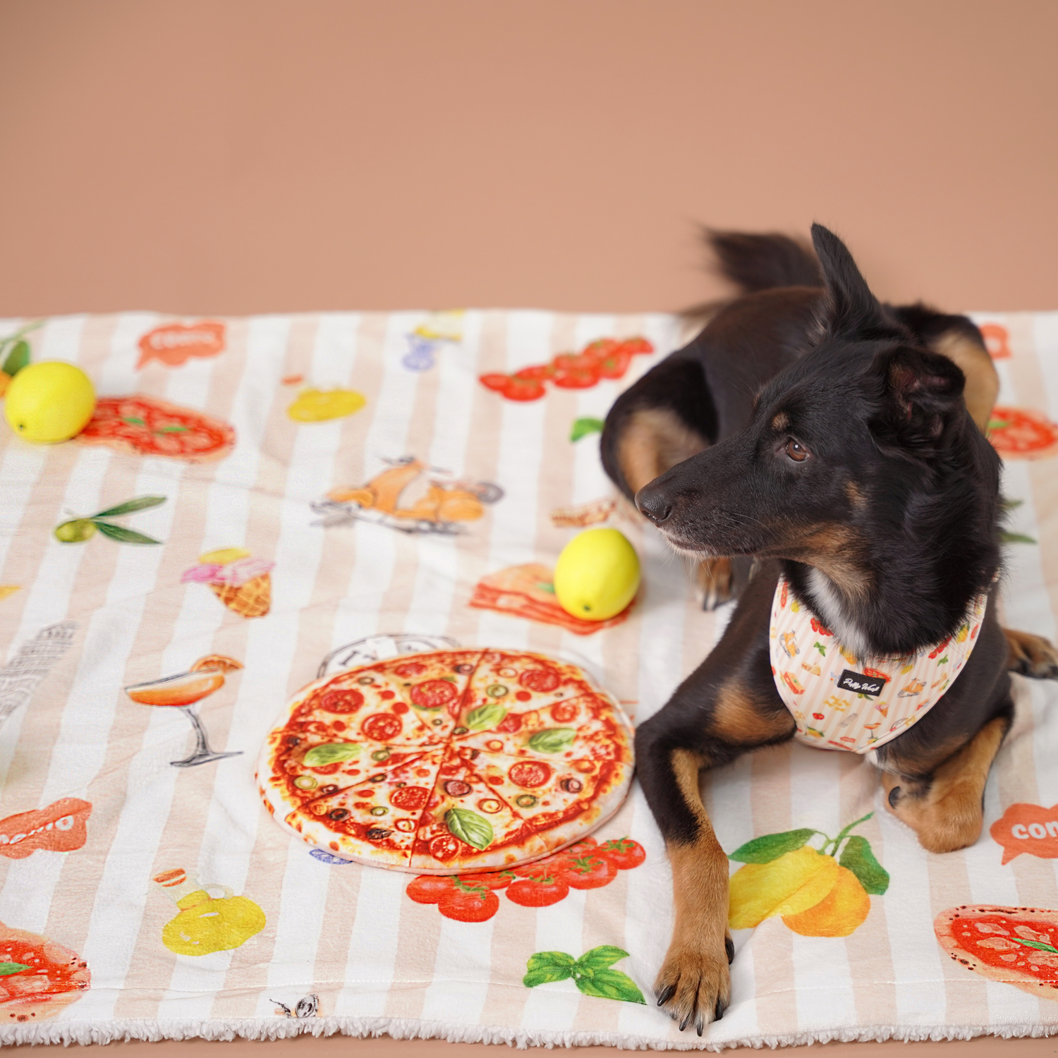 Pablo in Italy Blanket