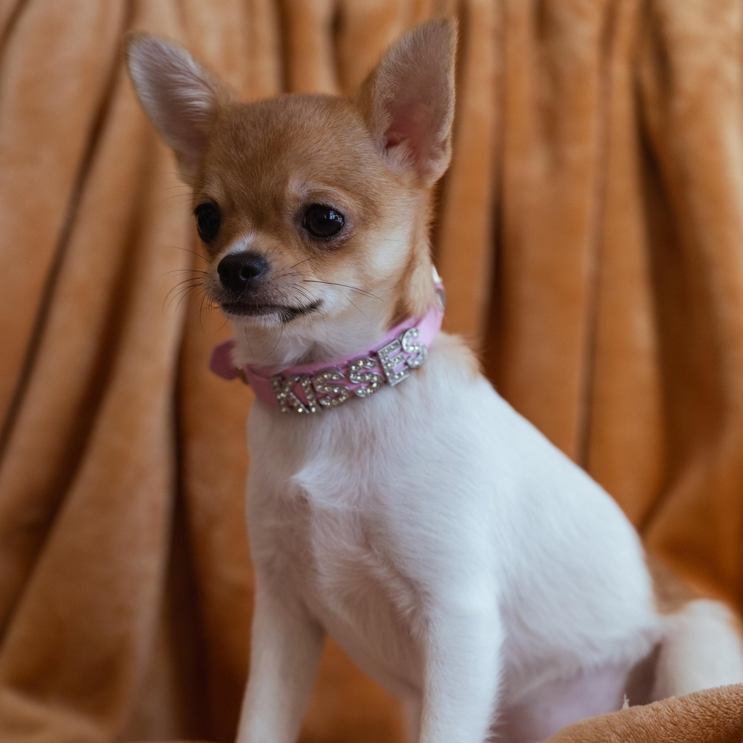 Bling Bling Personalized Dog & Cat Collar – Pink