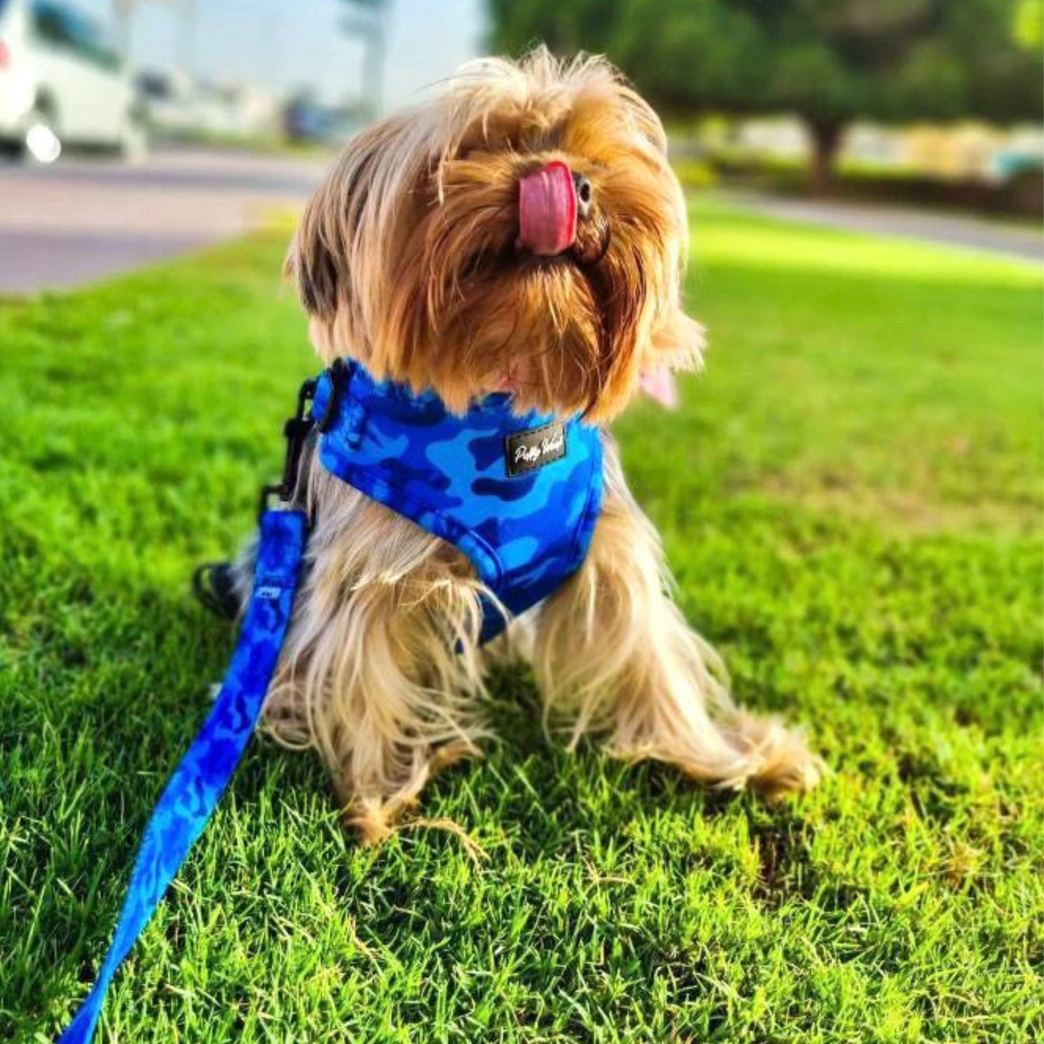 Camo Floof by Zach Leash