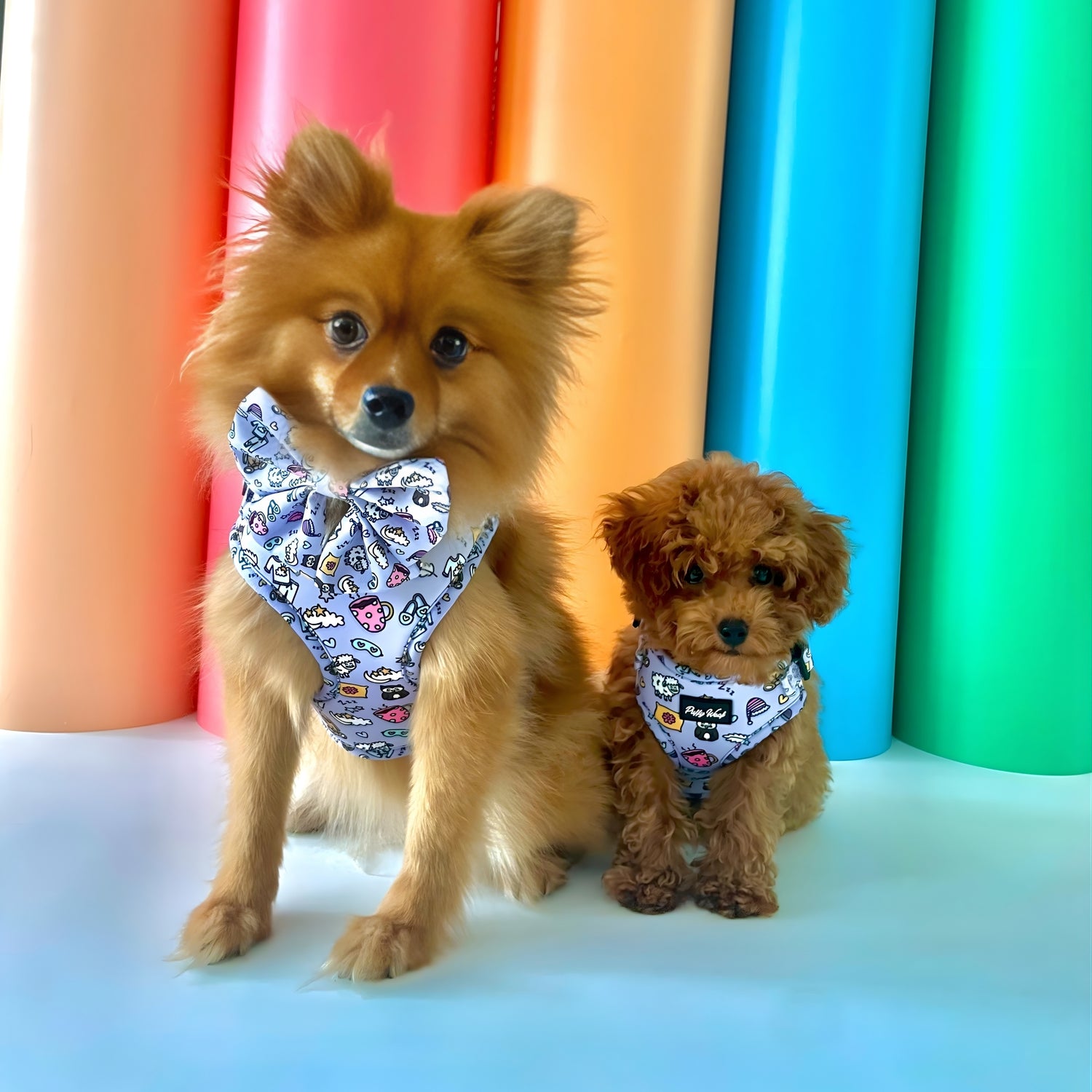 Sweet Dreams Mia Bowtie