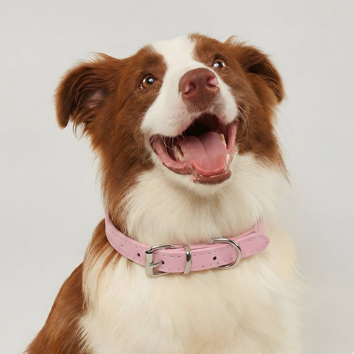Leather Pet Collar - Baby Pink