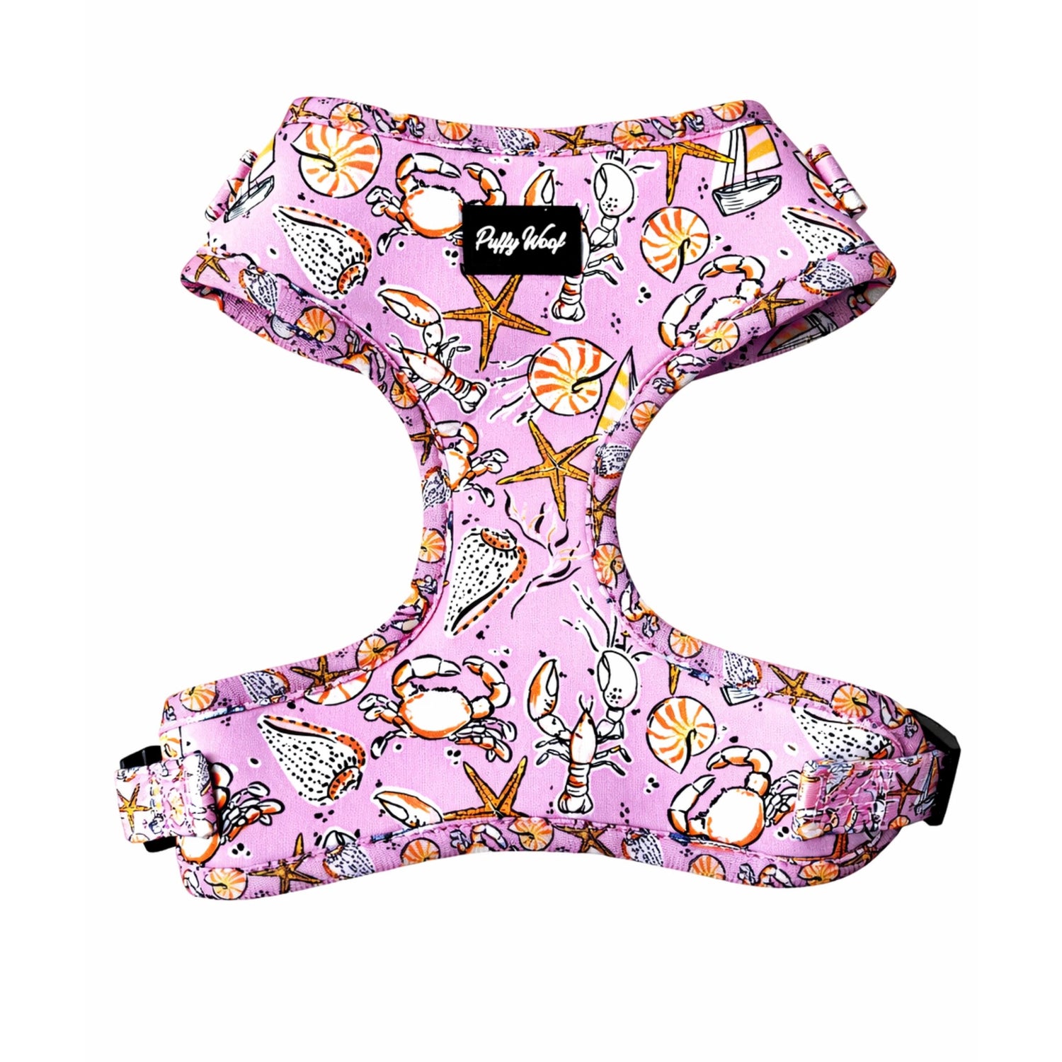 Lassie Seashells Limited Edition Walk Bundle