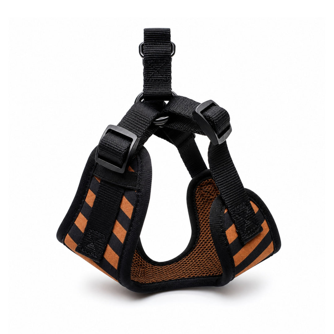 Brown and black striped step-in harness shown from the side, black hardware visible
