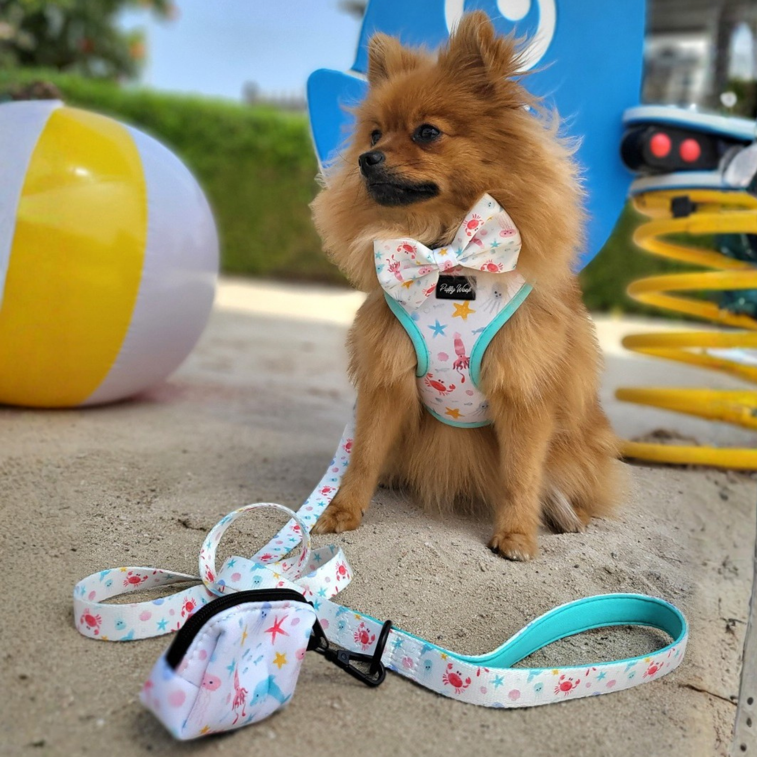 Frisky & The Sea Poop Bag