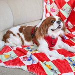 Zoomies on the Slopes Christmas dog blanket styled with the Red Velvet collection