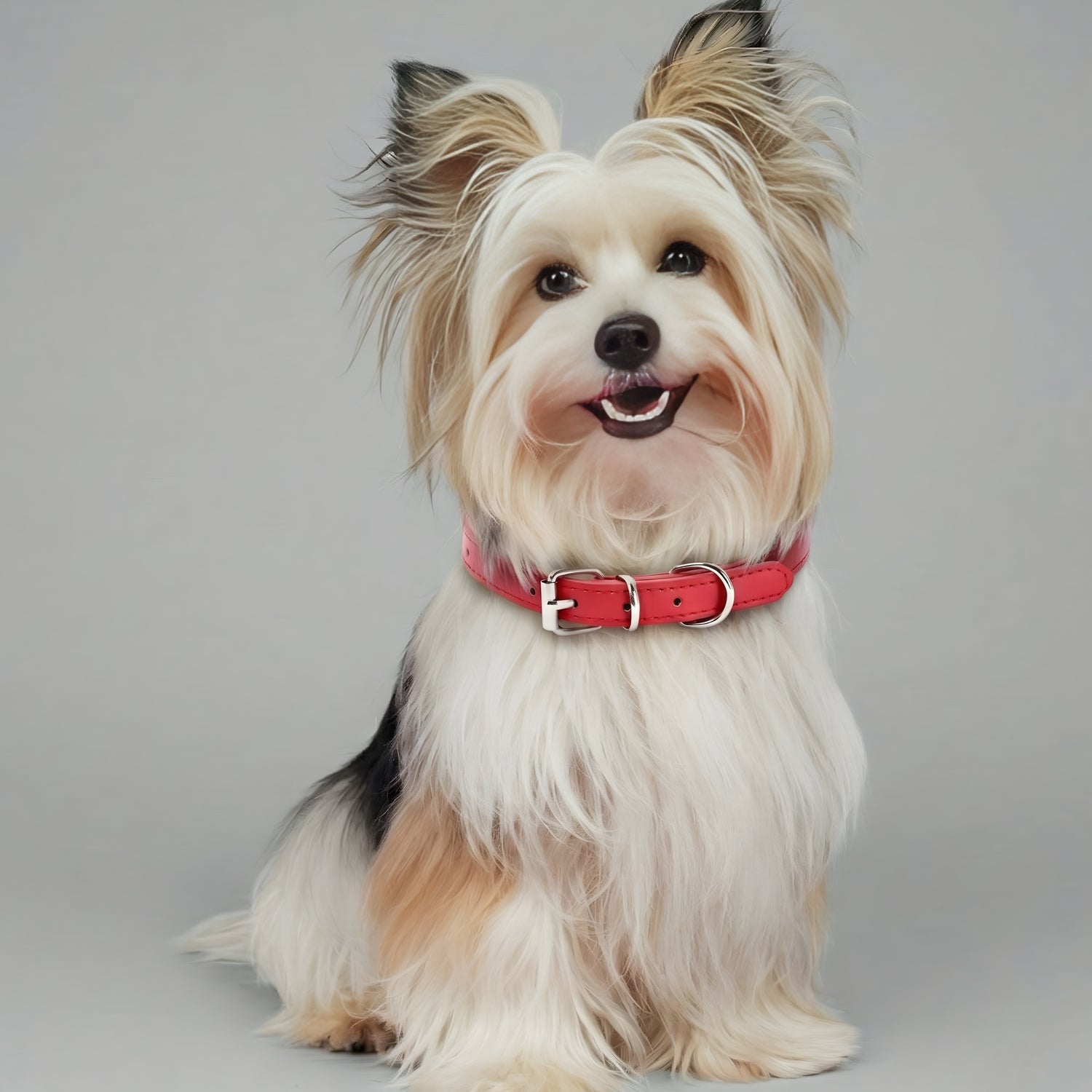 Leather Pet Collar - Ruby Red