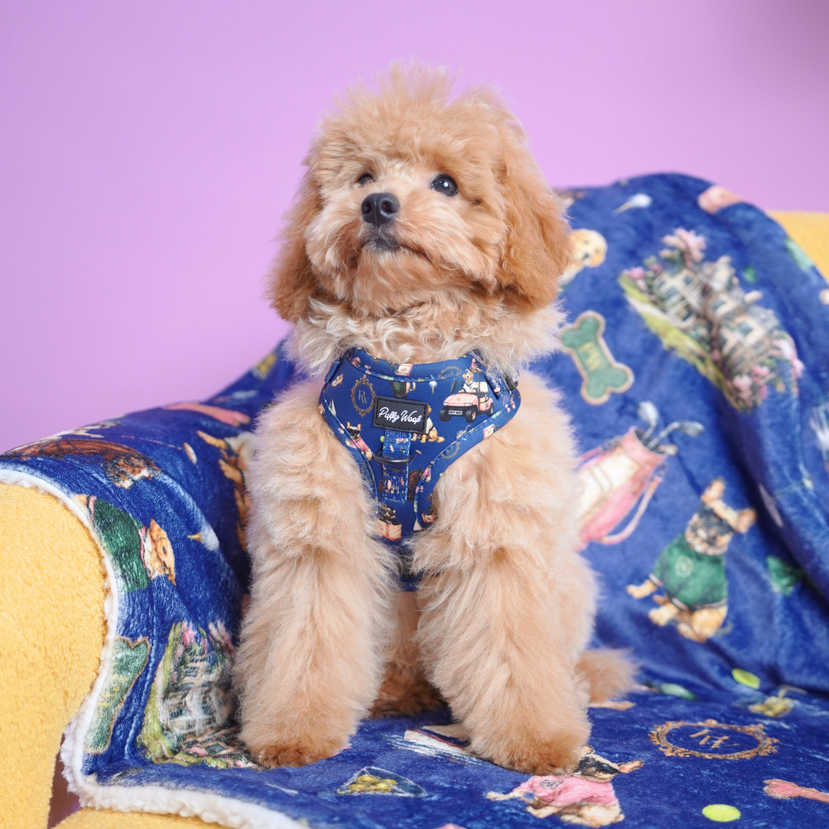 The Members Club - Blanket