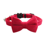 Adjustable Red velvet cat collar with a matching bow tie by Puffy Woof
