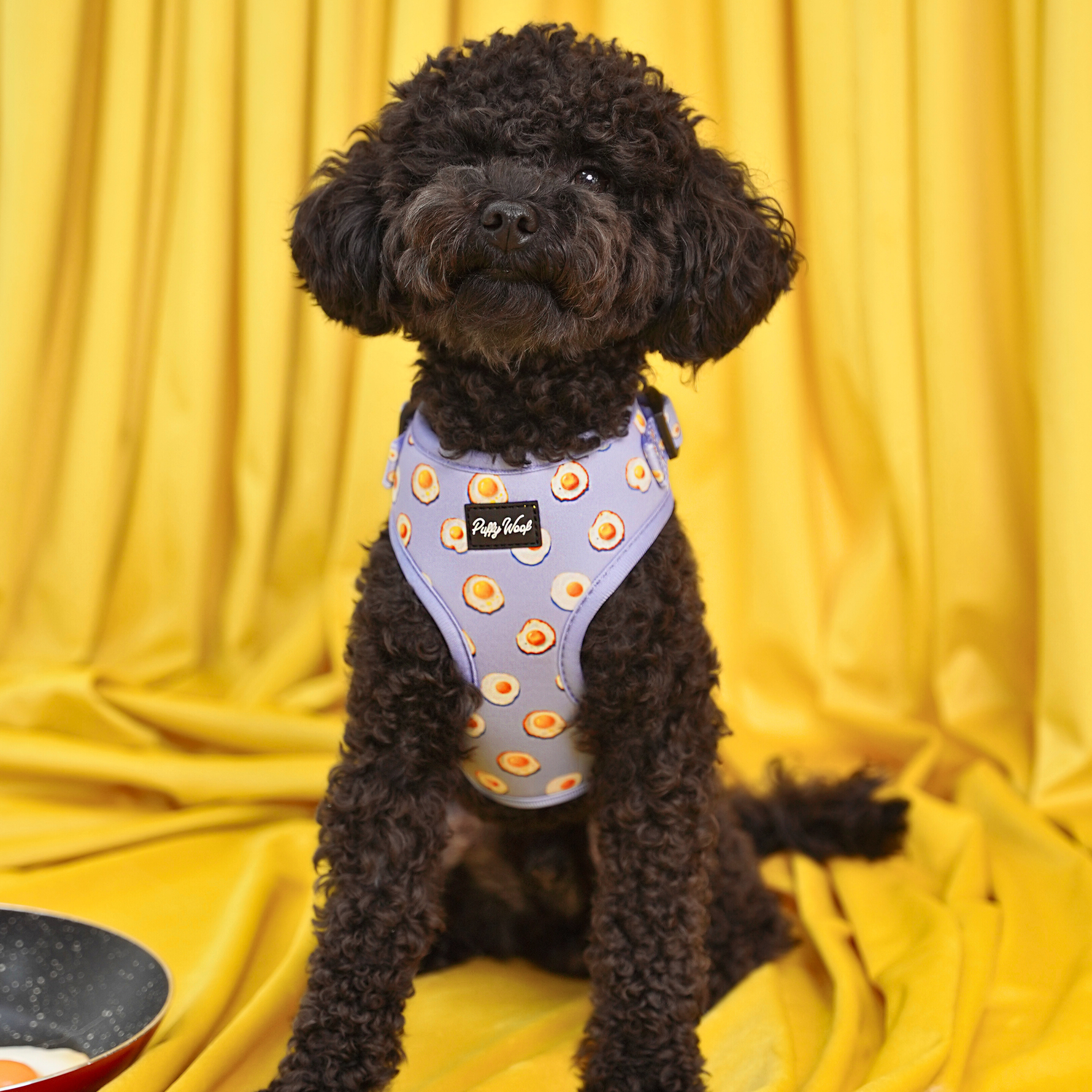 Black dog wearing Puffy Woof Sunny Side Esco collections harness for better comfort
