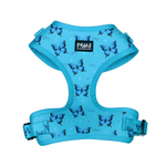 Blue butterfly printed adjustable dog harness for stylish and comfortable walking