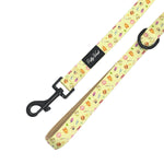 Chloe Cupcakes Leash printed retractable dog leash with ergonomic handle for comfortable pet walking
