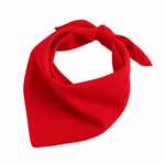 Christmas Red Dog Bandana for Pets in Dubai, UAE | Puffy Woof
