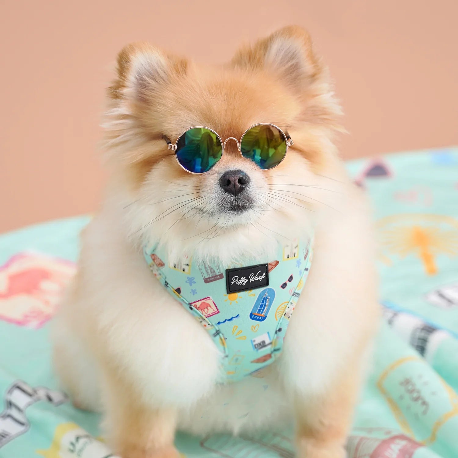 Cute dog wearing blue printed adjustable dog harness for outdoor walks and everyday comfort by Puffy Woof brand in Dubai