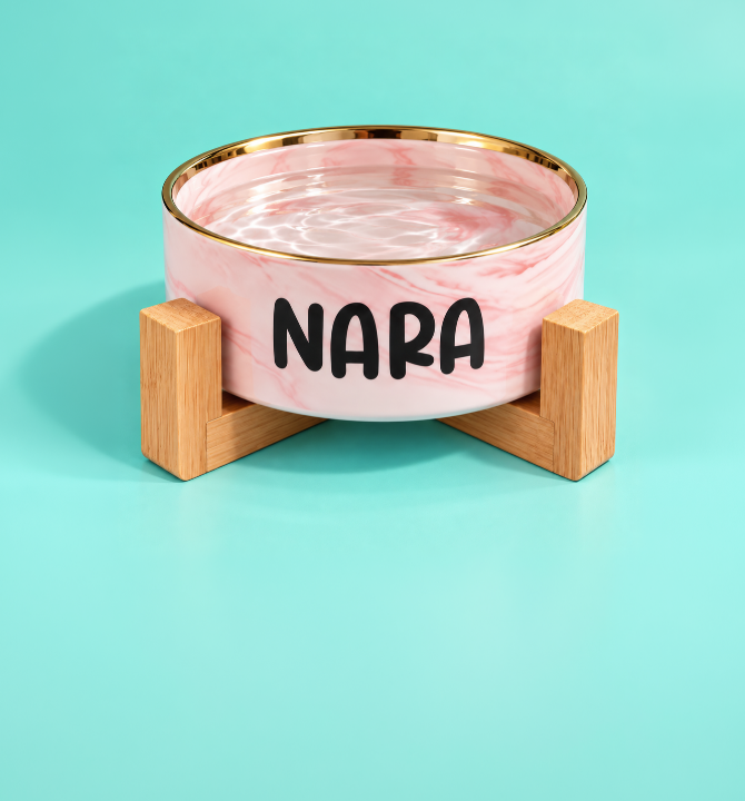 Pink personalised ceramic pet bowl with wooden stand, custom cat and dog bowls in Dubai and UAE | Puffy Woof