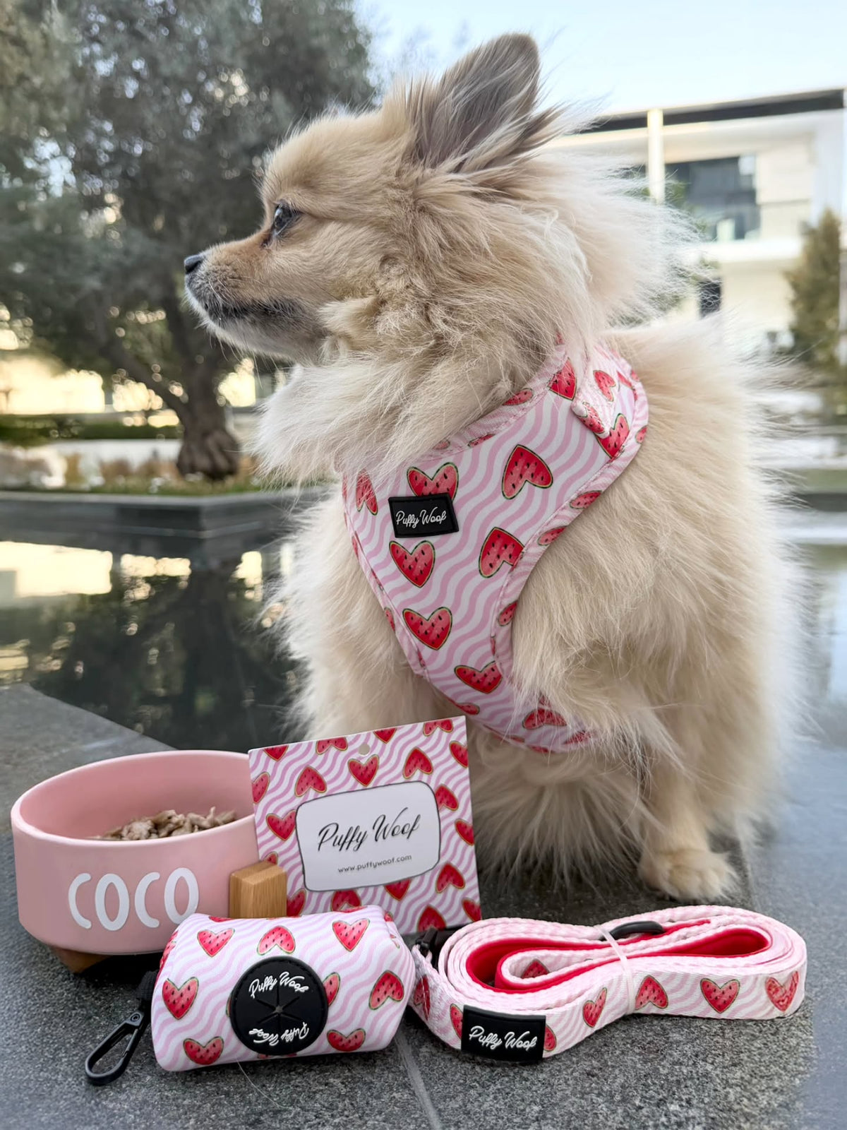 Puffy Woof watermelon print dog bandana, matching leash and collar set for dogs in Dubai and UAE