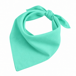 Light Mint Aqua Dog Bandana Mockup for Pets in Dubai, UAE | Puffy Woof