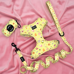 Puffy Woof Chloe Cupcakes harness set with leash and collar - printed matching pet walking accessories