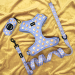Puffy Woof Sunny Side Esco collections harness and leash set in soft fabric