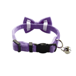 Purple velvet cat collar with a matching bow tie