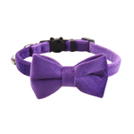 Purple velvet cat collar with a matching bow tie by Puffy Woof
