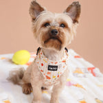 Small dog wearing a soft adjustable dog harness from Puffy Woof Pablo in Italy Collection