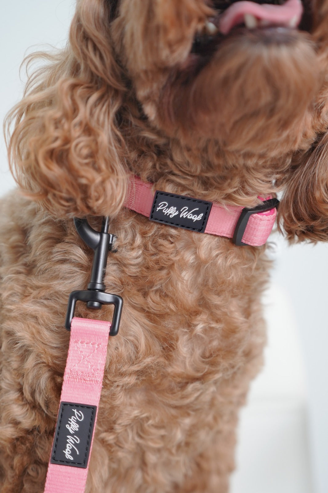 Bubblegum Pink Adjustable Collar