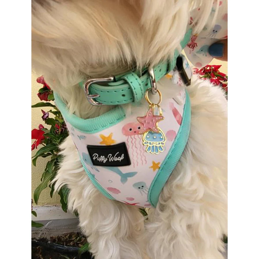 Leather Pet Collar - Mint Green