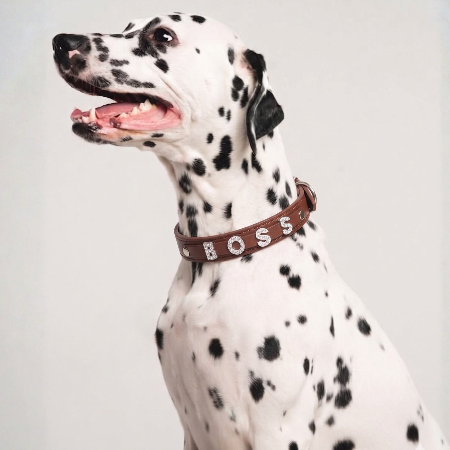 Bling Bling Personalized Dog & Cat Collar – Brown